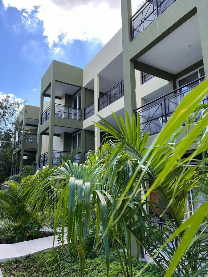 Lol-Ha Hotel Boutique Cancún Zewnętrze zdjęcie